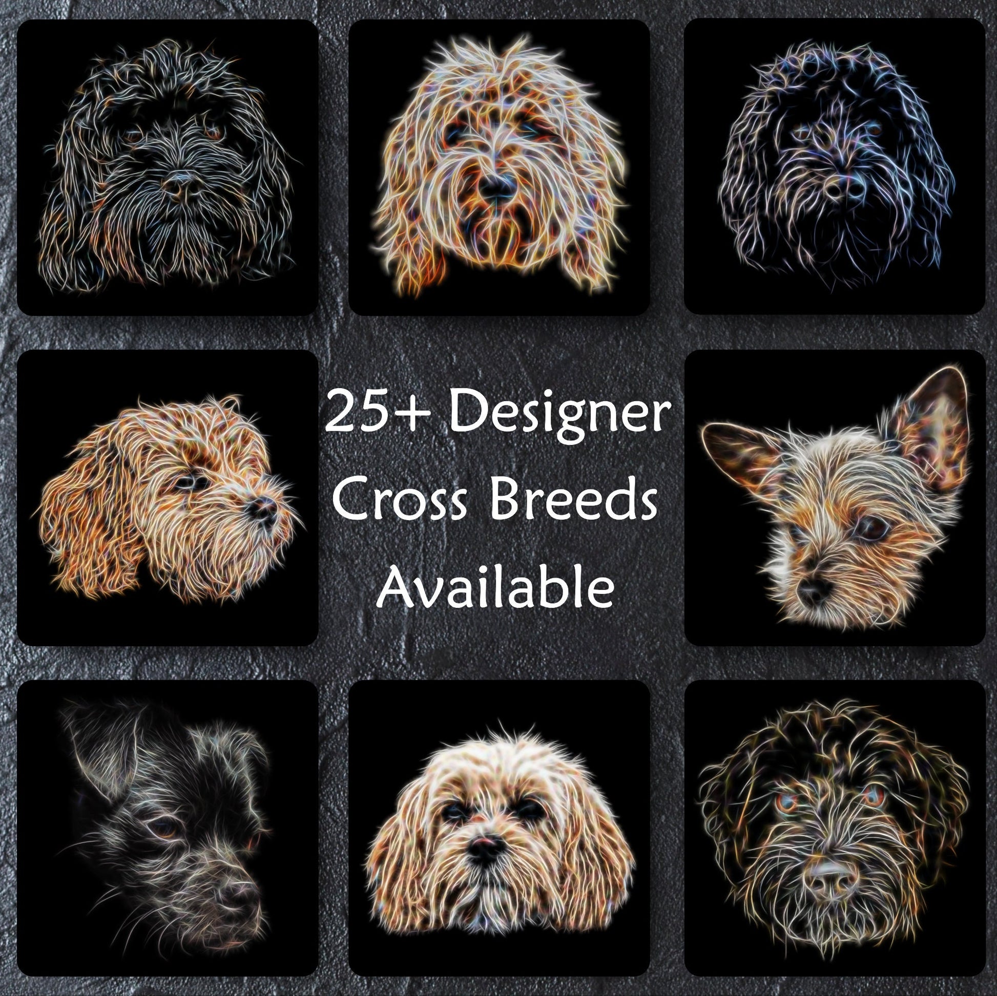 Designer Cross Breed Coaster. Various Breeds including Cockapoo Labradoodle  Cavapoo Cavachon Chorkie Sprocker and  more