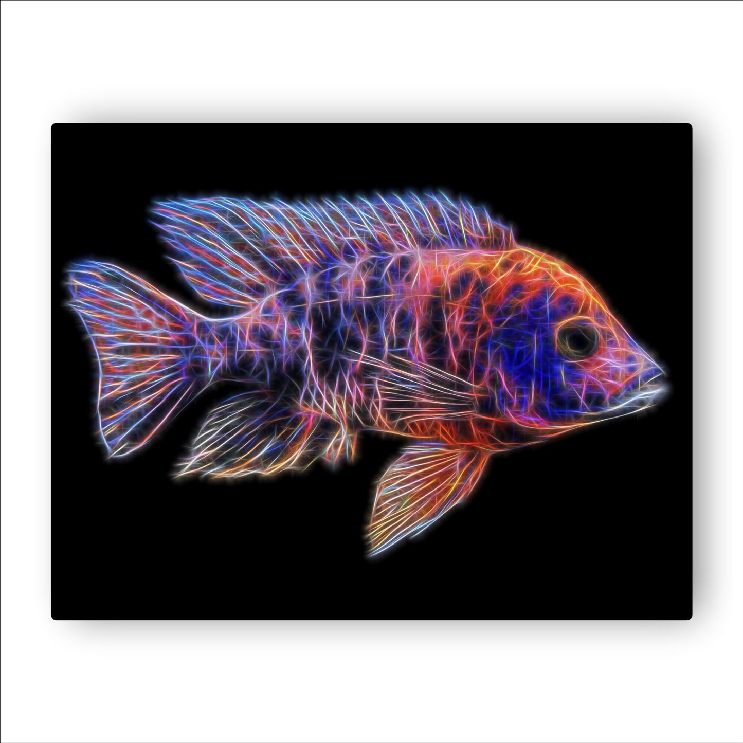 Orange OB Peacock Cichlid Fish Print with Stunning Fractal Art Design. Aulonocara