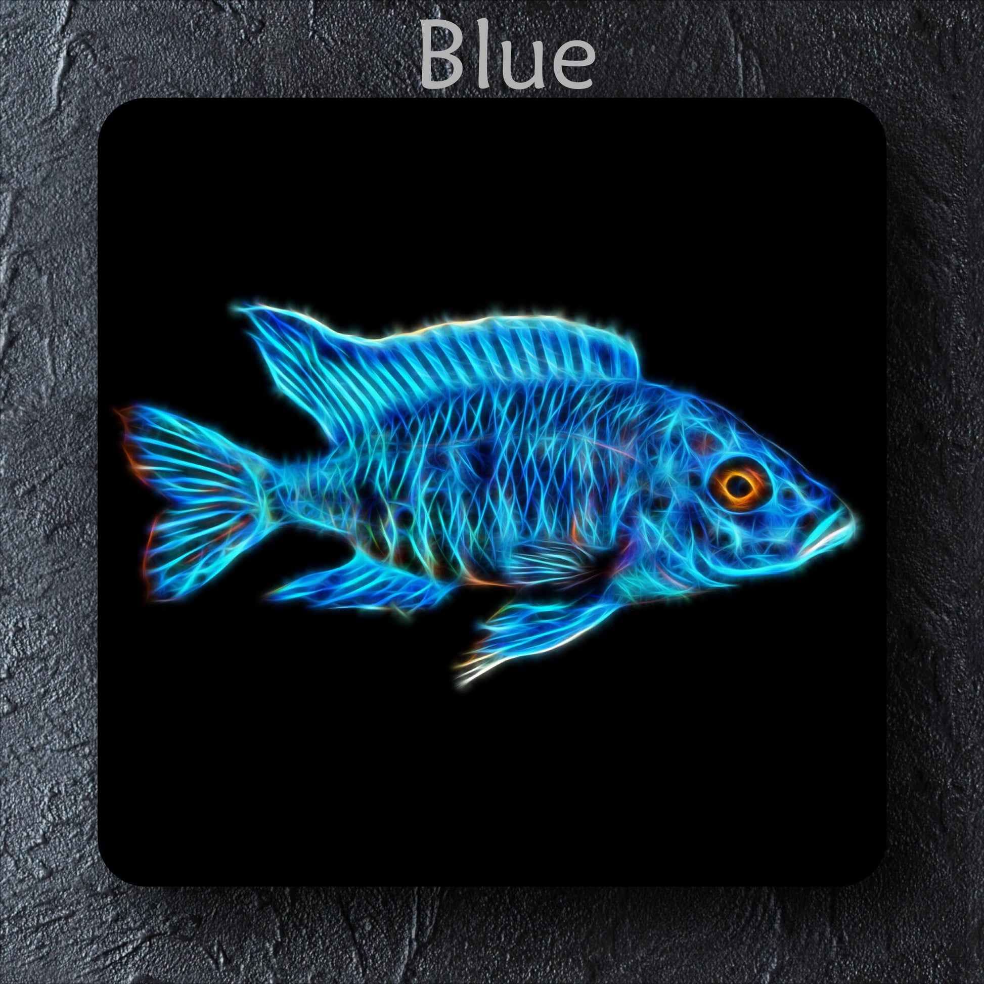 Peacock Cichlid Coaster with Stunning Fractal Art Design. Choose One of 12 Aulonocara Designs