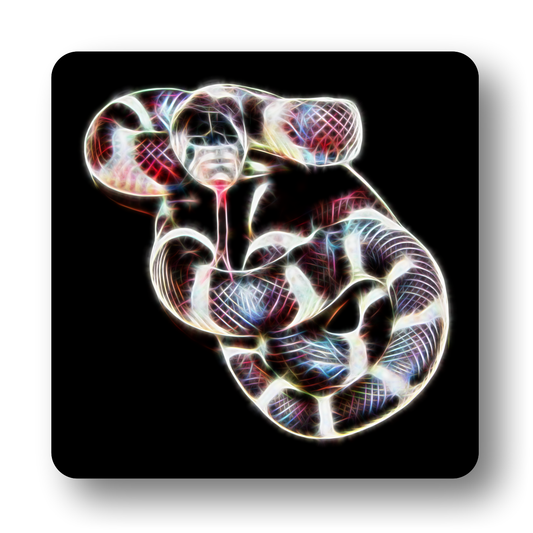 Reptile Coaster