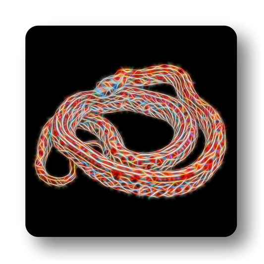 Reptile Coaster