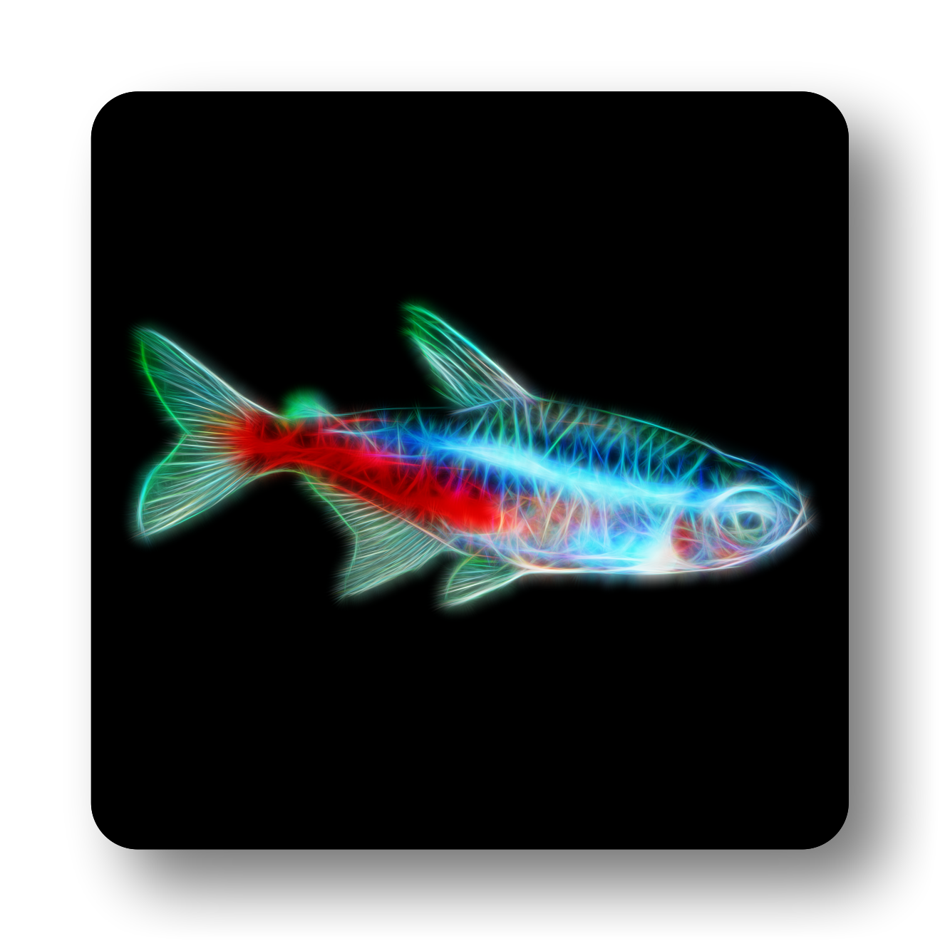 Freshwater Aquarium Fish Coasters - Various Designs