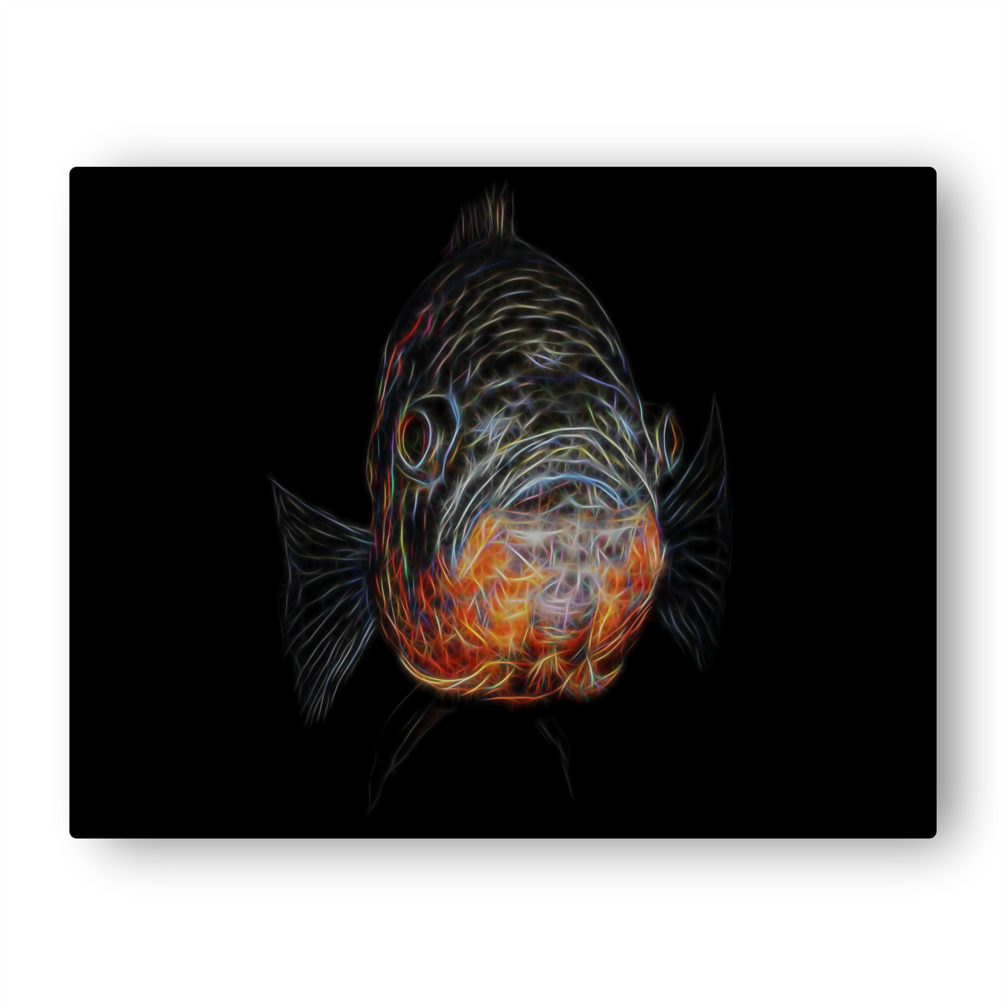 Tiger Oscar Fish Print with Stunning Fractal Art Design Astronotus ocellatus