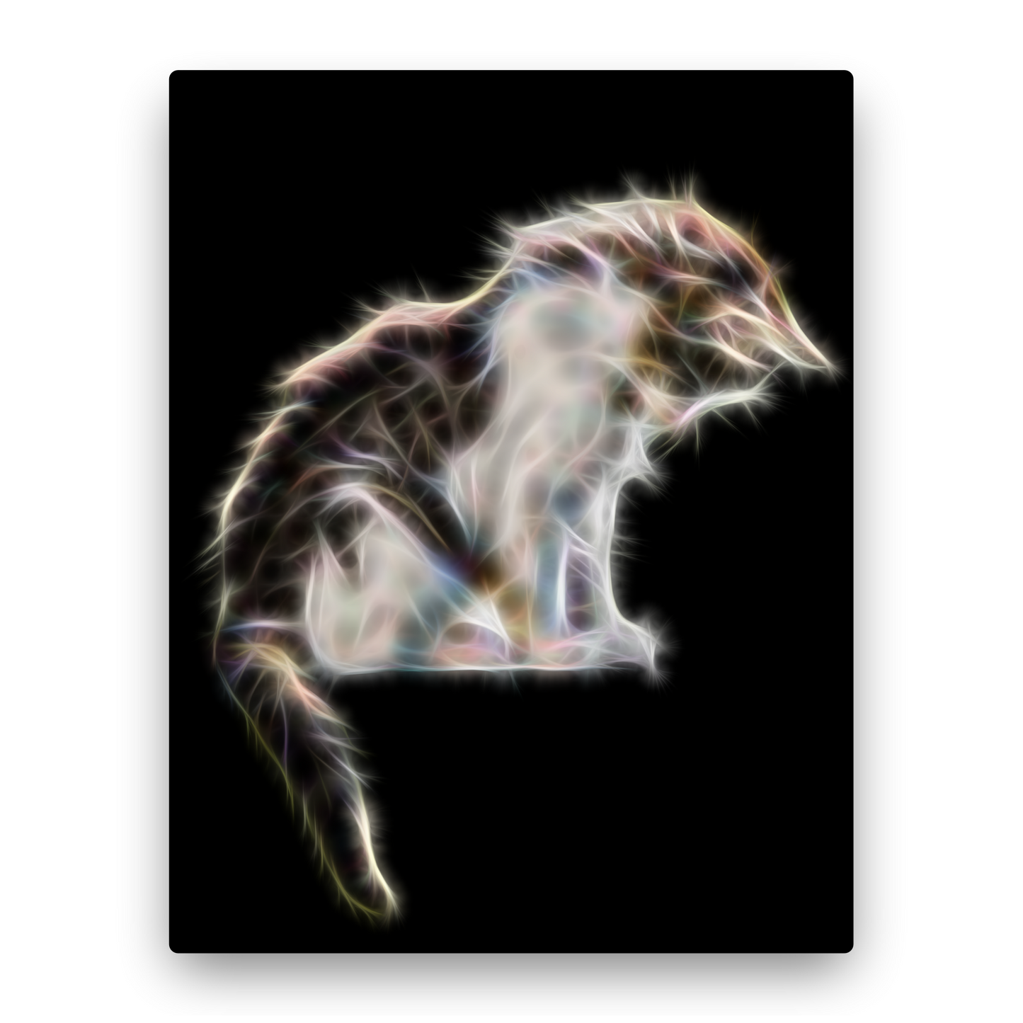 Tabby and White Kitten Metal Wall Plaque