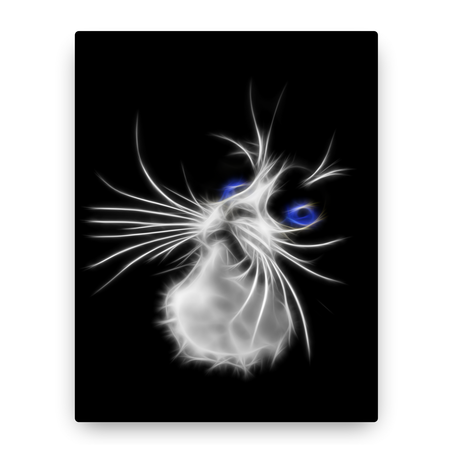 Blue Eye Tuxedo Cat Aluminium Metal Wall Plaque