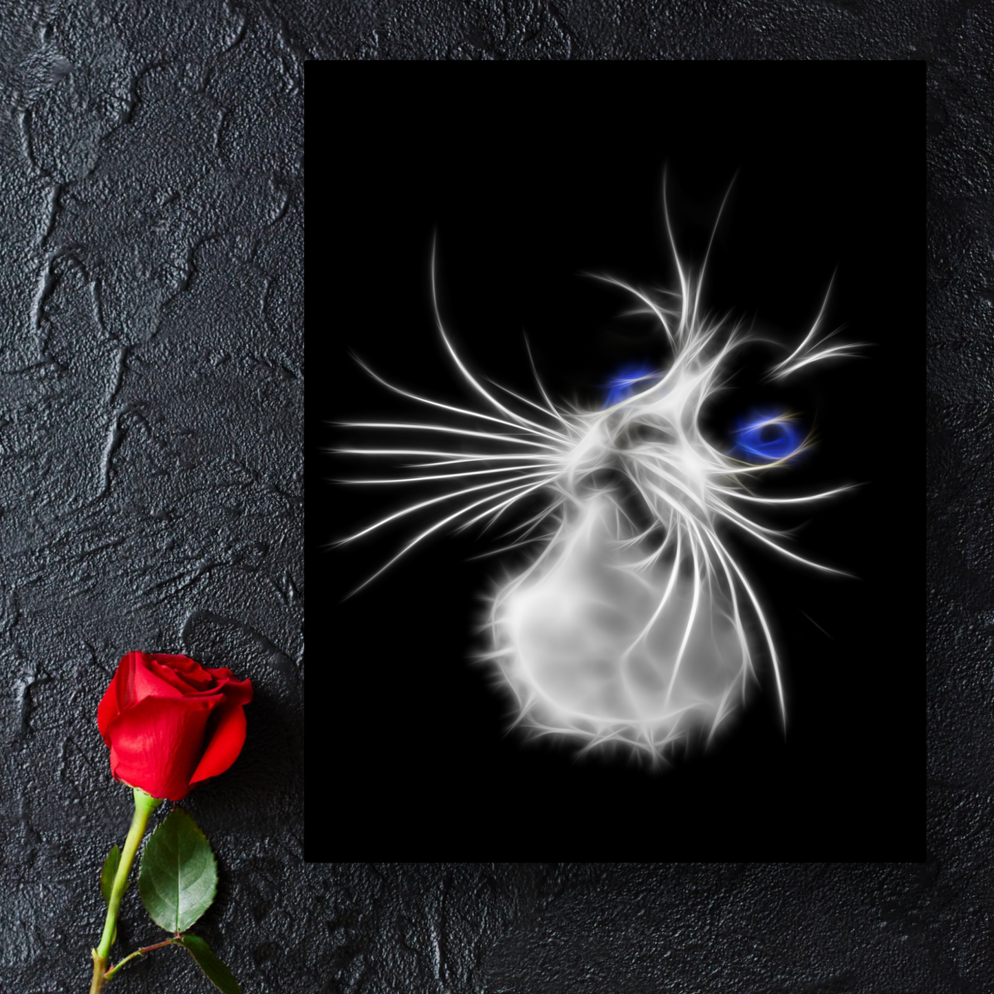 Blue Eye Tuxedo Cat Aluminium Metal Wall Plaque