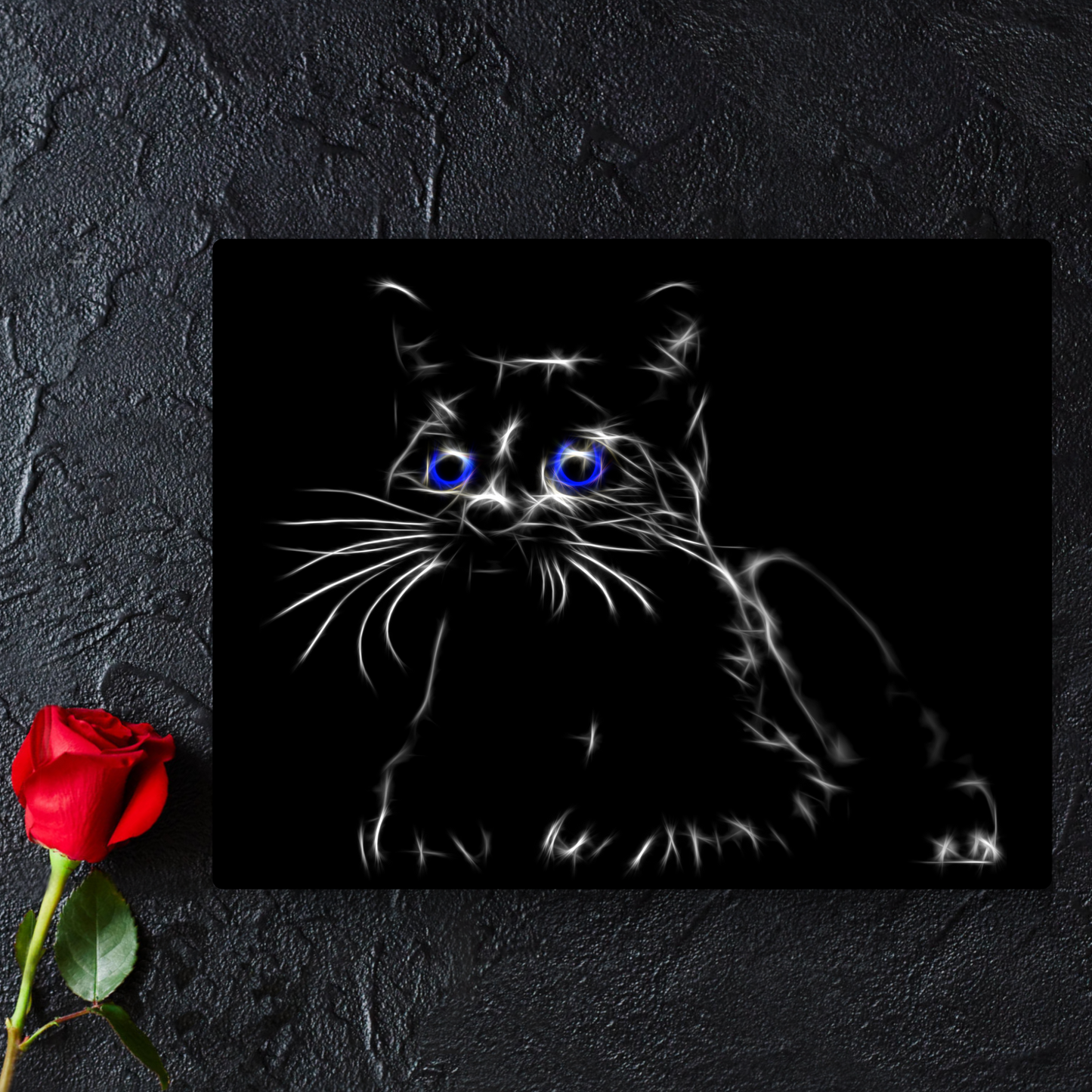 Blue Eye Black Cat Aluminium Metal Wall Plaque