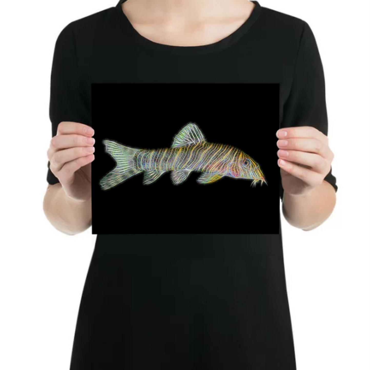 Zebra Loach Aluminium Metal Wall Plaque