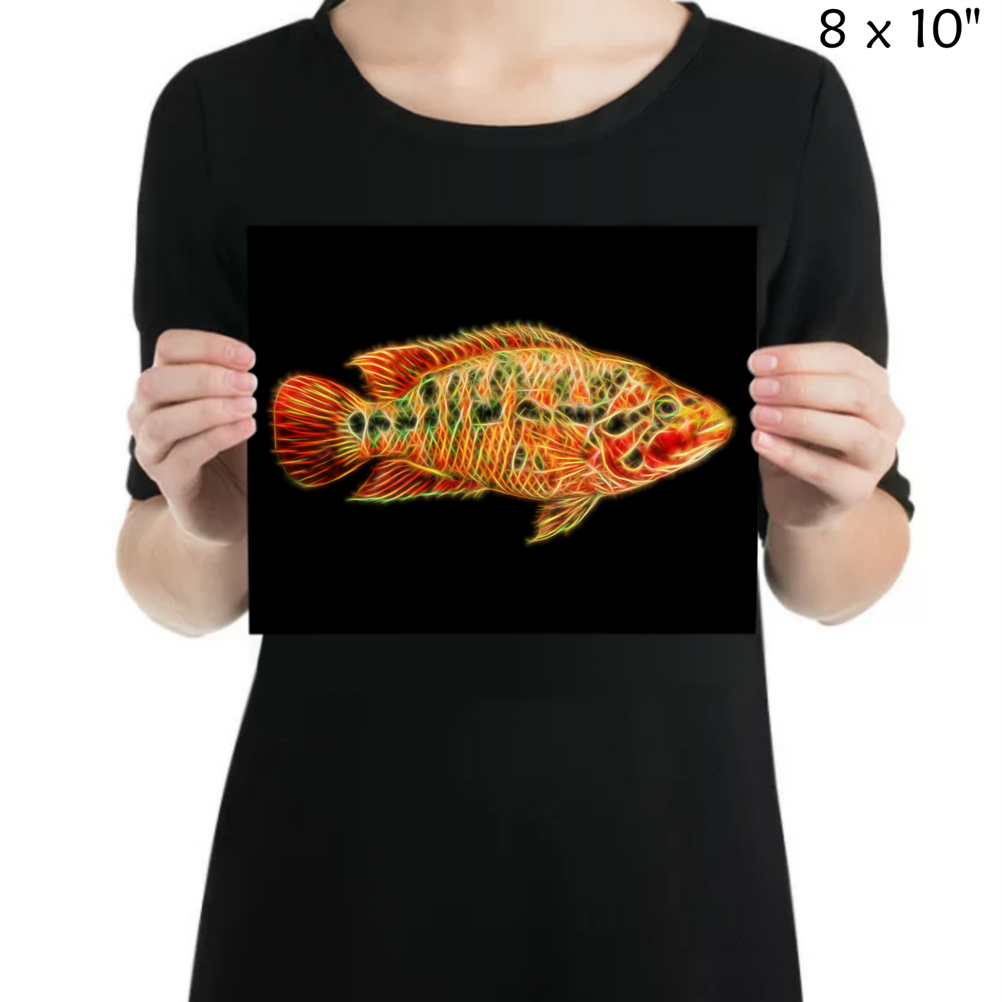 Red Tiger Motaguense Cichlid Print Parachromis motaguensis