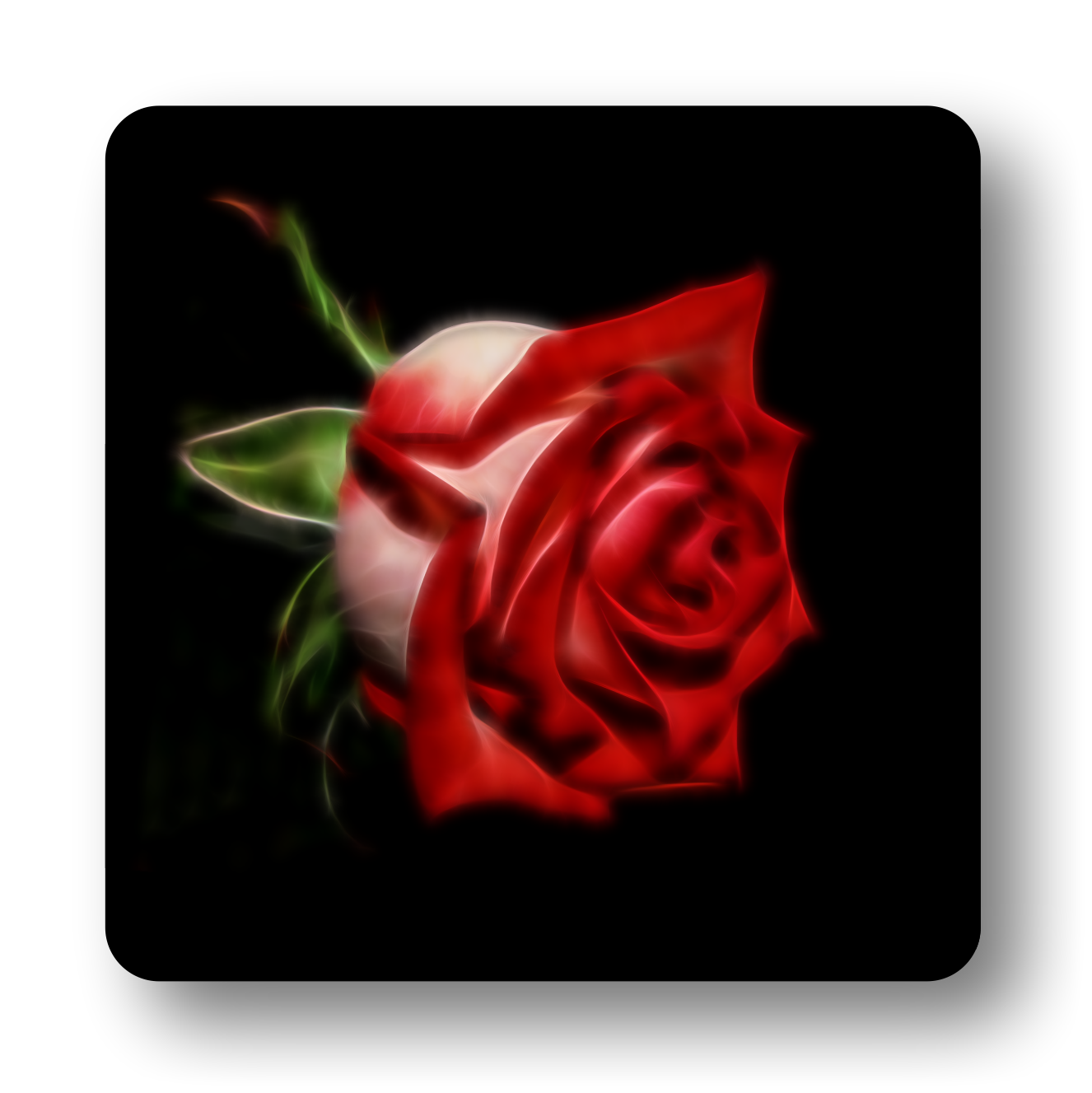 Rose (Red) Coaster