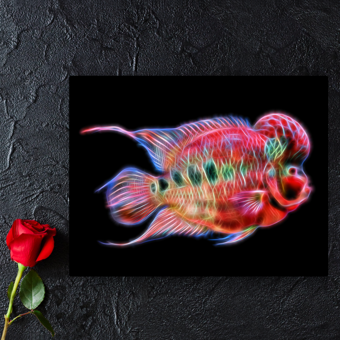 Flowerhorn Cichlid Fish Print