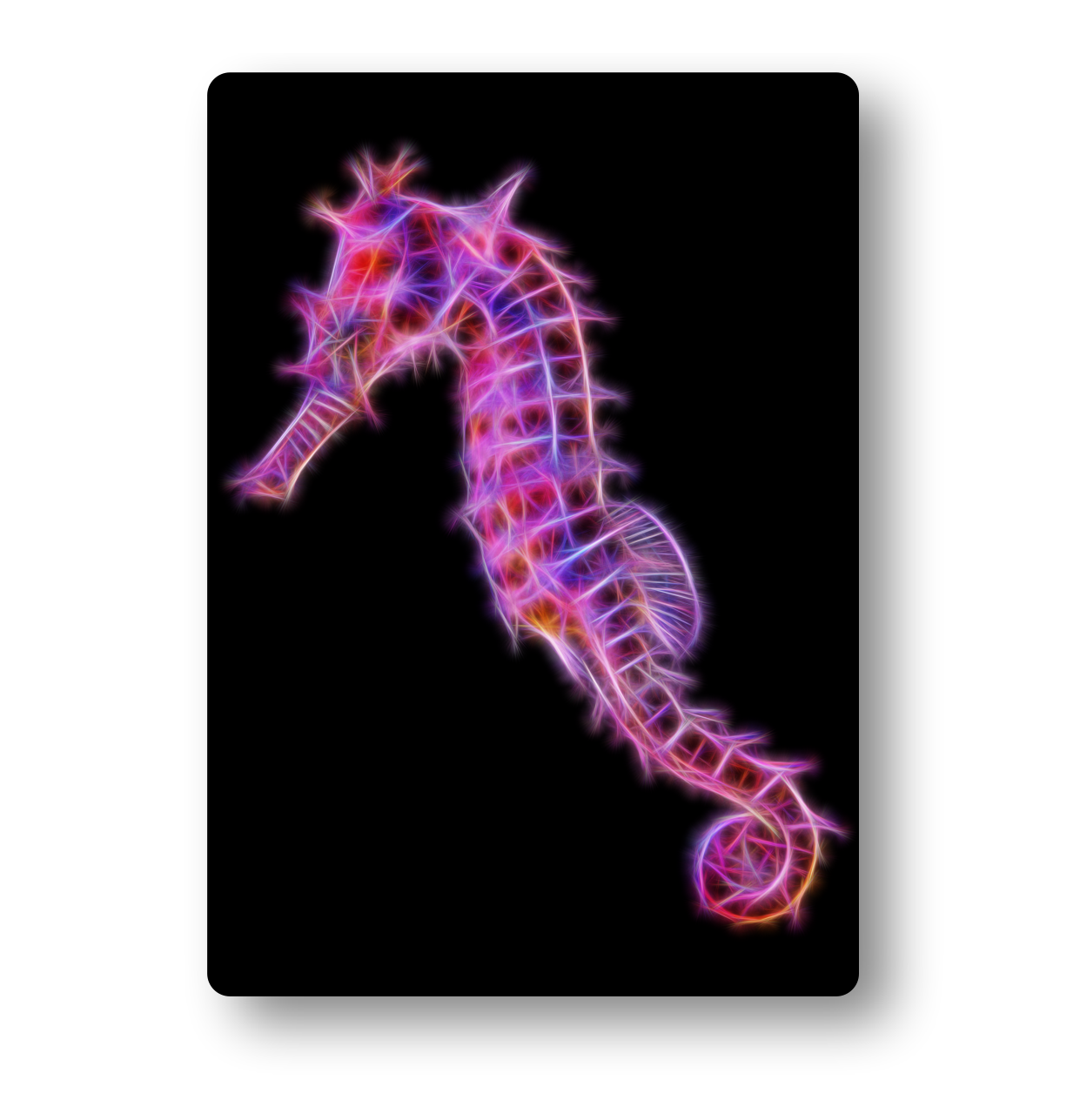 Seahorse (Purple Lined) Fractal Art Metal Wall Plaque