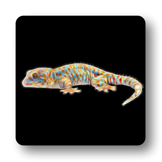 Reptile Coaster