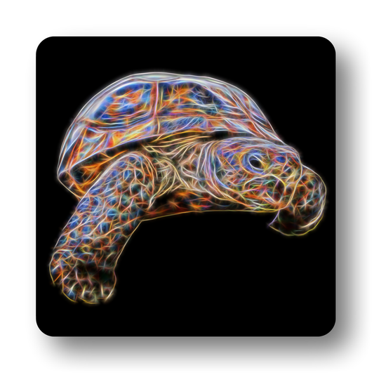 Reptile Coaster