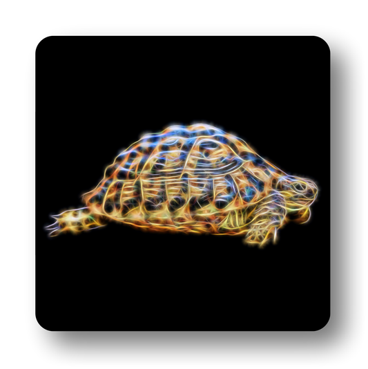 Reptile Coaster