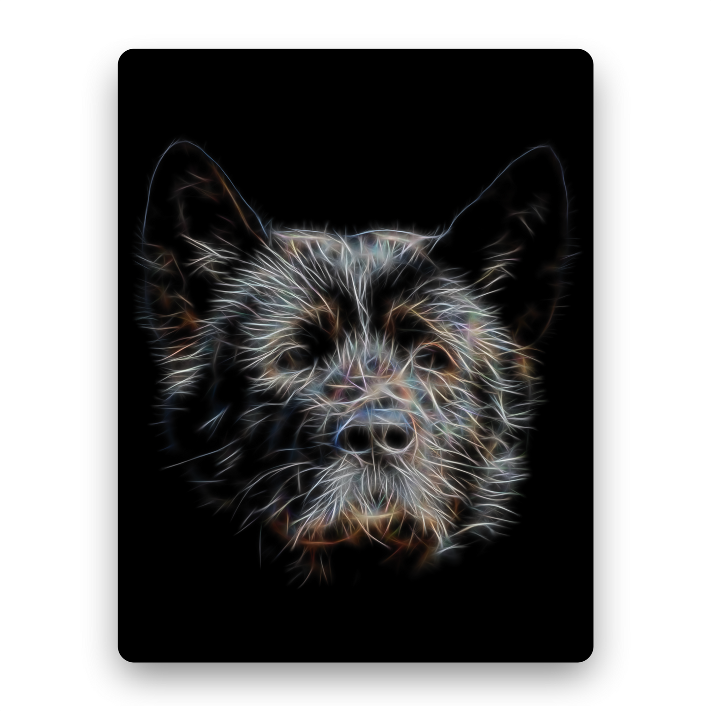 Black American Akita Metal Wall Plaque